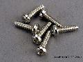 Screws, 3x10mm roundhead self-tapping (6)