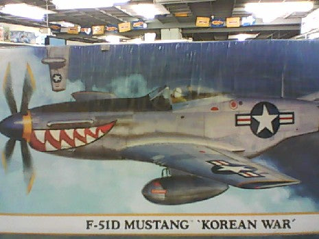 F-51D MUSTANG KOREAN WAR