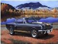 SHELBY MUSTANG GT 350 H 1/24