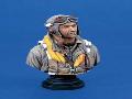 BUSTE PILOTE CH.USAAF 200mm