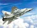 MIG 31