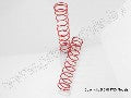 Springs, rear (red) (2.9 rate) (2)