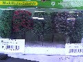 ARBRES FRUITIER