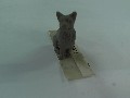 LOUP - Maquette de Véhicule Militaire 1/72 par REVLAND