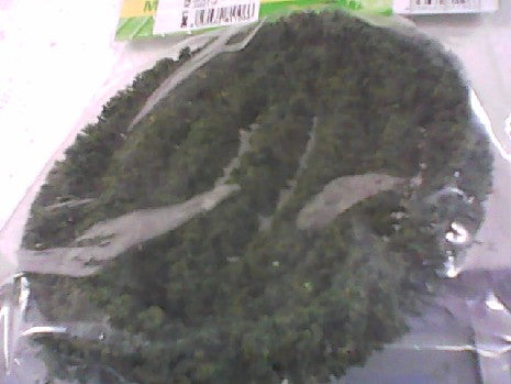 HAIES 1 M VERT N