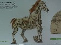 CHEVAL M╔CANOIDE 1/9