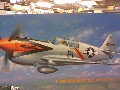 P-40N WARHAWK 13TH PURSUIT GROUP 1/72