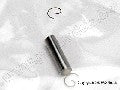 Wrist pin, wrist pin clips (2) (TRX 3.3)