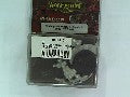 Figurines WINTER GUARD OFFICER ET STANDARD BEARER - WARMACHINE