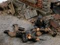 EN DEFENSE 2 Fg 1/35