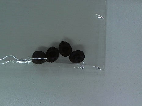 PATIN ATERRISSAGE X4 / QG550