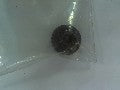Cloche Aiguille 12 DTS pour Trains N - REVLAND