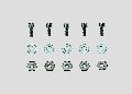 5 VIS 5 ECROUS 5 RODELLE 1/87