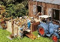 Figurines Décoratives de 16 Poules et Poussins FALLER 331938 pour Trains Miniatures HO