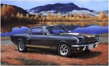 SHELBY MUSTANG GT 350 H 1/24