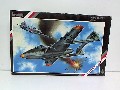 FOCKE WULF PTL FLITZER 1/72