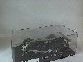 BENTLEY EXP8 A.WALLACE 2001 - Maquette de Voiture de Course 1/43