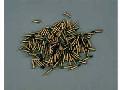 MUNITION 75 PANZER IV 1/35