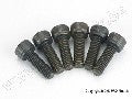 Screws, 4x12mm cap-head machine (6)