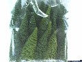 25 SAPIN 6A 10CM HO