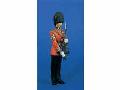 GOLD GUARD COLORS