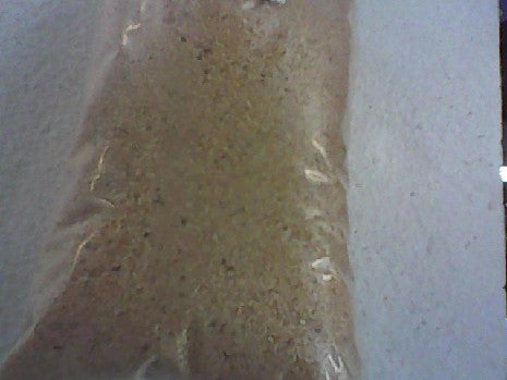 FLOCAGE BEIGE 100G