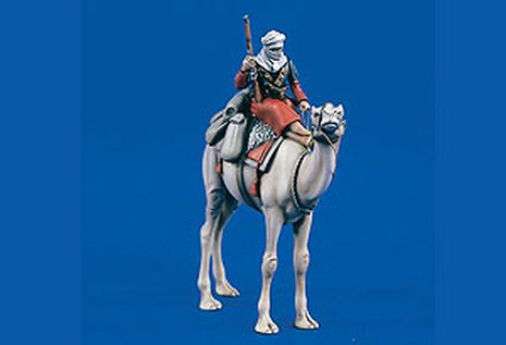 BEDOUIN A CHAMEAU