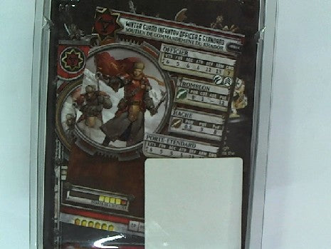 Figurines WINTER GUARD OFFICER ET STANDARD BEARER - WARMACHINE
