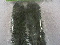 2 PEUPLIERS 13CM