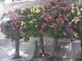 4 ARBRES FLEURIS N