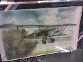 POLIKARPOV R-Z RED ARMY 1/72