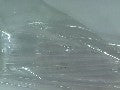 PIPETTE SET (6 pieces)