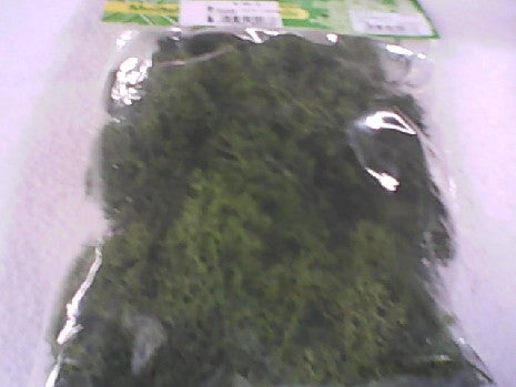 MOUSSE VERTE FONCEE 40G
