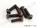 Screws, 3x10mm button-head machine (hex drive) (6)