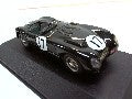 JAGUAR C TYPE LM MOSS 1953
