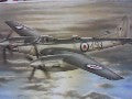DH.103 SEA HORNET NF MK.21 1/72