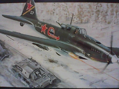 STORMOVIK BI PLACE 1/48