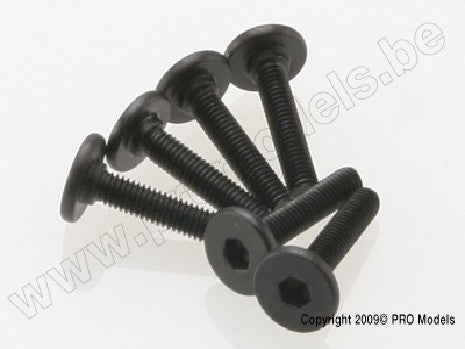 Screws, 3x15mm flat-head machine (hex drive) (6)