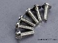 Screws, 3x10mm washerhead machine (6)