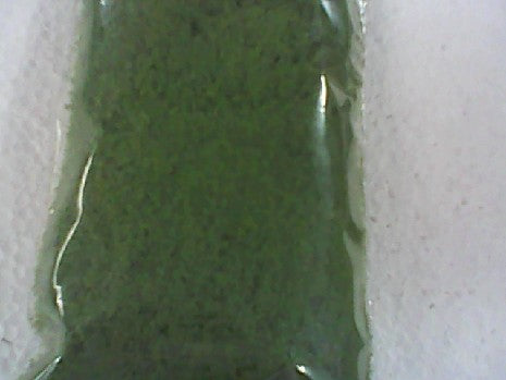 Flocage Gros Vert 300ml pour Décors de Modélisme