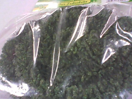 HAIES VERT HO