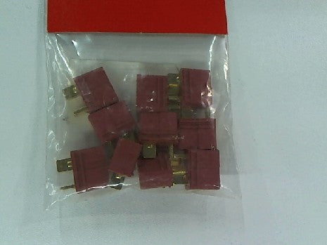 PRISE DEAN femelle (10)