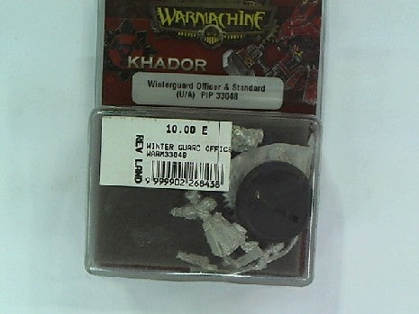 Figurines WINTER GUARD OFFICER ET STANDARD BEARER - WARMACHINE