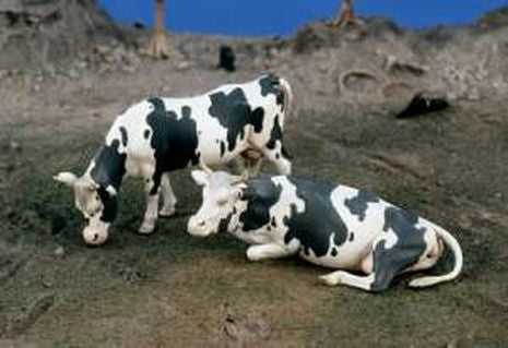 VACHES                   1/35