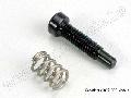 Throttle stop screw/ spring
