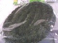 HAIES 1 M VERT N