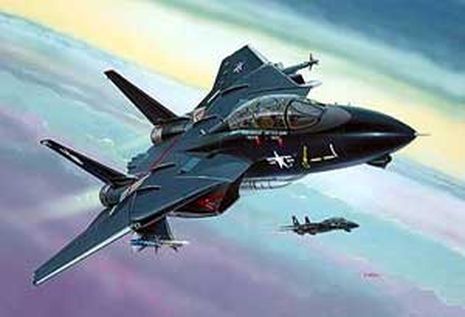 Model Set F-14A Tomcat "Black Bu