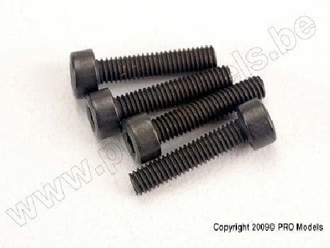 Screws, 2.5x12mm cap-head machine (6)