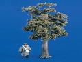 GRAND ARBRE (20 cm haut) 1/35