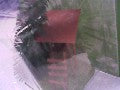 ABRI DE CHASSE HO